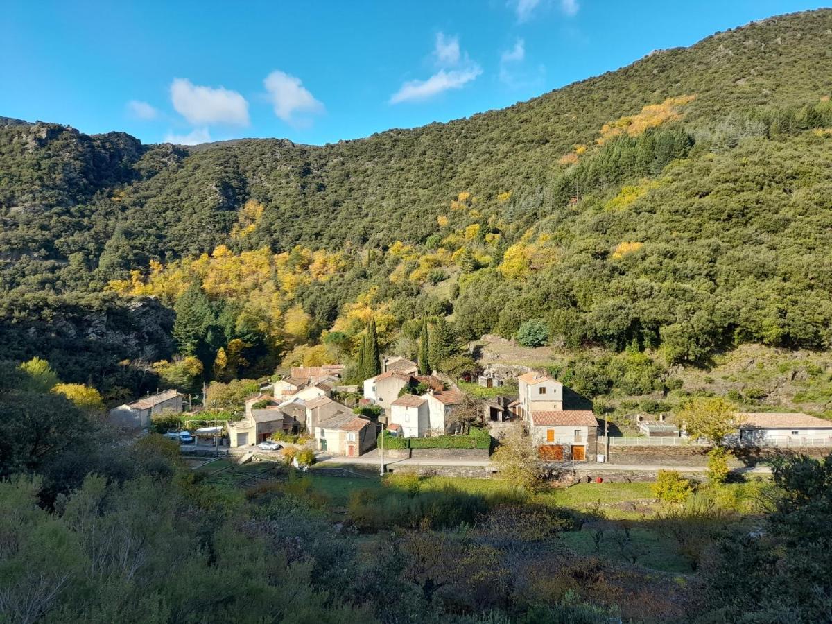 La Fontchaude Villa Cabrespine ภายนอก รูปภาพ